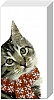 Näsduk Kitty