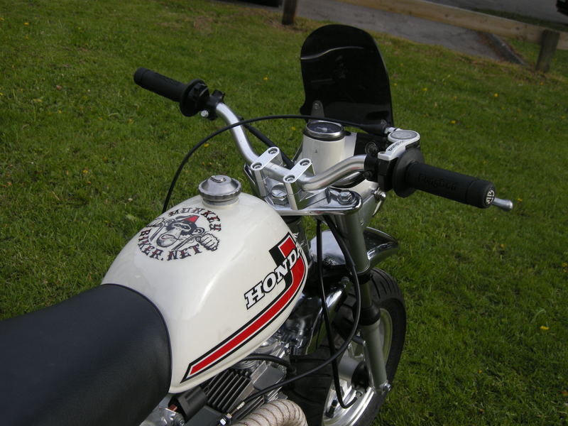 Windshield  - 2