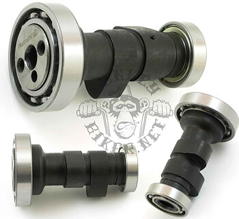 Cam shaft Race R20