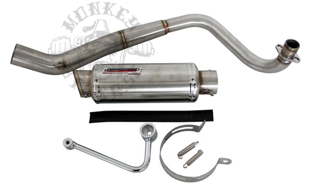 Downswept exhaust Yoshi GP style Short