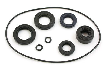 Oil seal & oring set