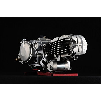 190cc Daytona Anima, 4, electric starter
