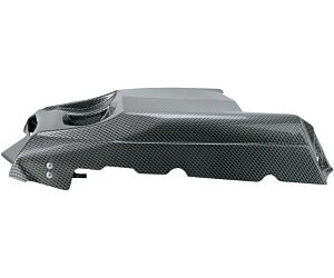 Taillight Cover Yamaha Raptor 700