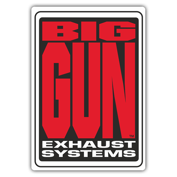 Big Gun Slip On Duals Polaris RZR TURBO (2016-2022) EVO Utility - 2