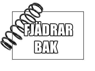 Fjädrar BAK Polaris
