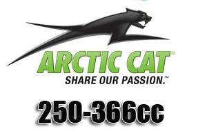 Arctic Cat 250-366