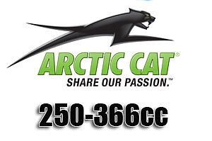 Arctic Cat 250-366