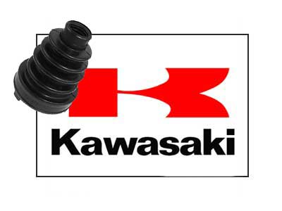 Damasker Kawasaki