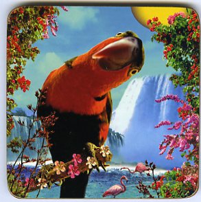 Coasters Glasunderlägg - 4
