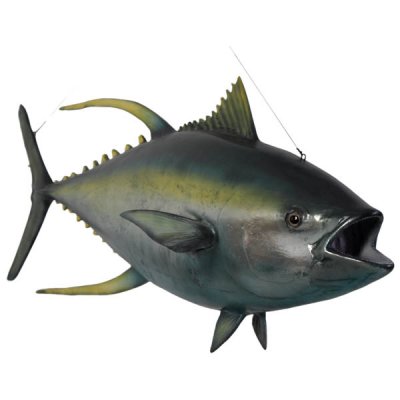 Tonfisk Trofé 60x164
