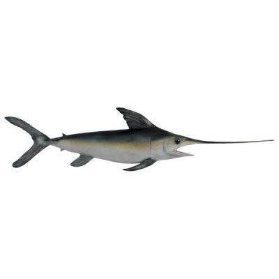 Svärdfisk, liten