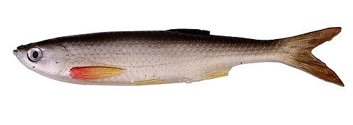 3D Bleak Real Tail LB 13,5cm 14g 4-pack