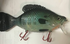 Storm Kickin Slab 20cm 184g