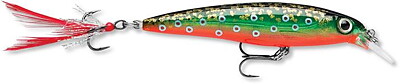 Rapala X-Rap 10cm  Floating