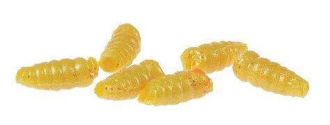 Berkley Gulp