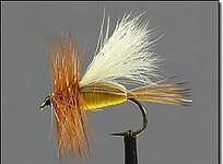 Humphy yellow trude