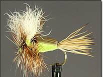 Humphy wulff chartreuse