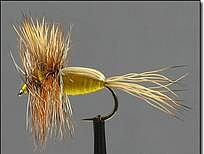 Humphy yellow