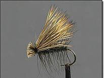 Elk hair caddis (black)