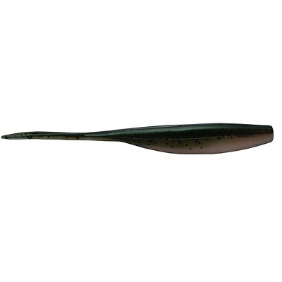 Rainbow trout