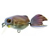 Gold'n Crank 4g, 4,5cm