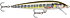 Rapala Scatter Rap Minnow 11cm 6g