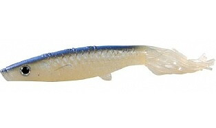 Squid Minnow