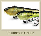 Chubby Darter