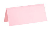 Placeringskort 10 st Rosa