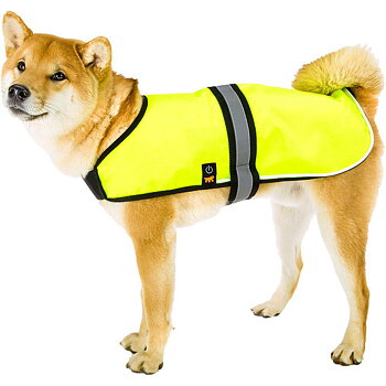 Radius - LED Reflex Vest for Dog, S