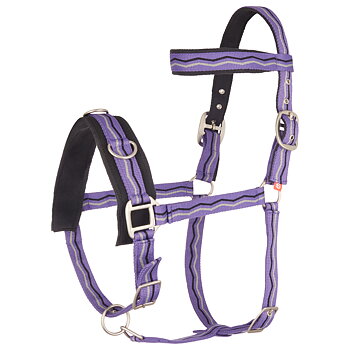 Imperial Riding Kapson nylon Royal purple