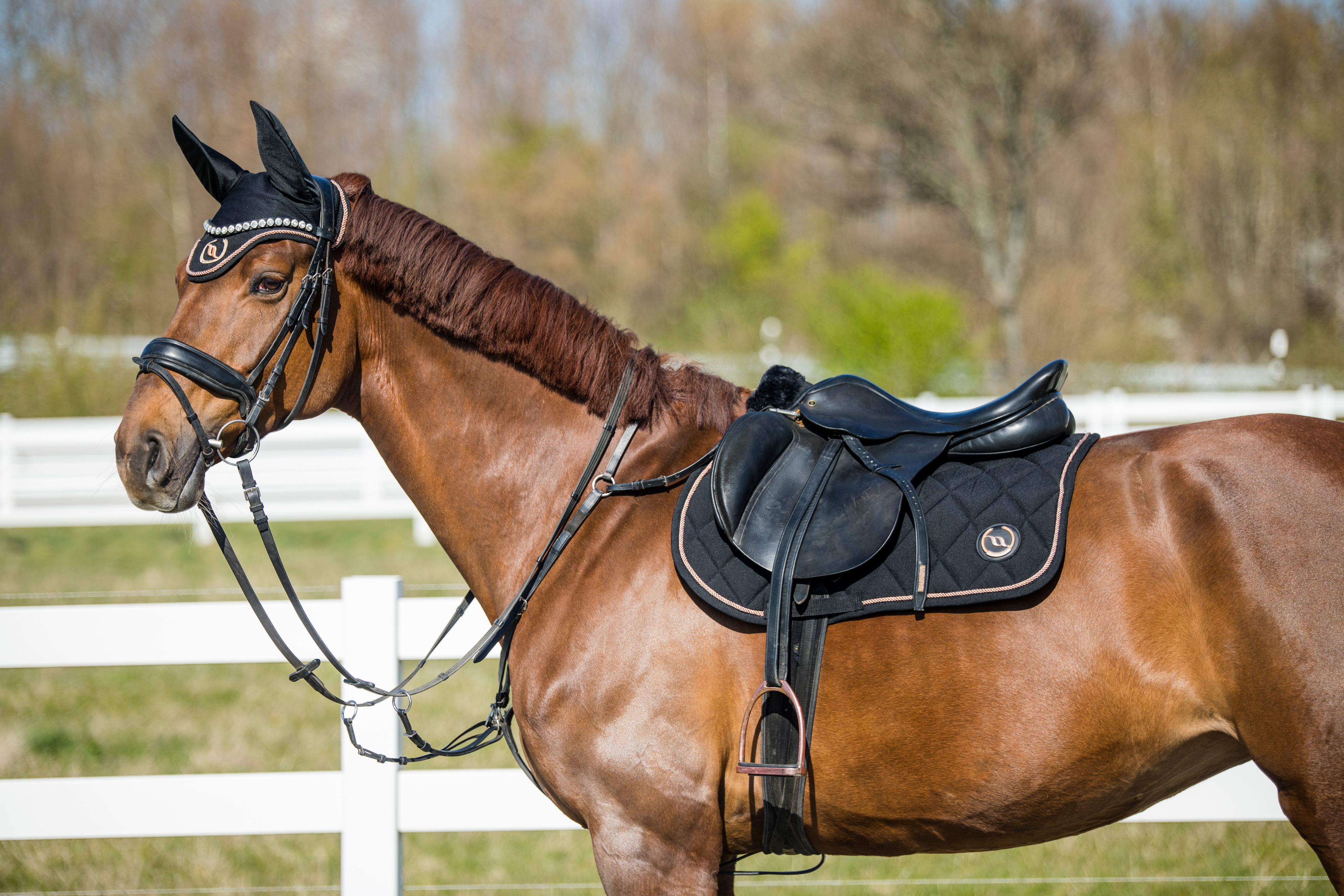 Back on Track Haze Collection Hopp-/allroundschabrak – Svart / Rosé (Cob)