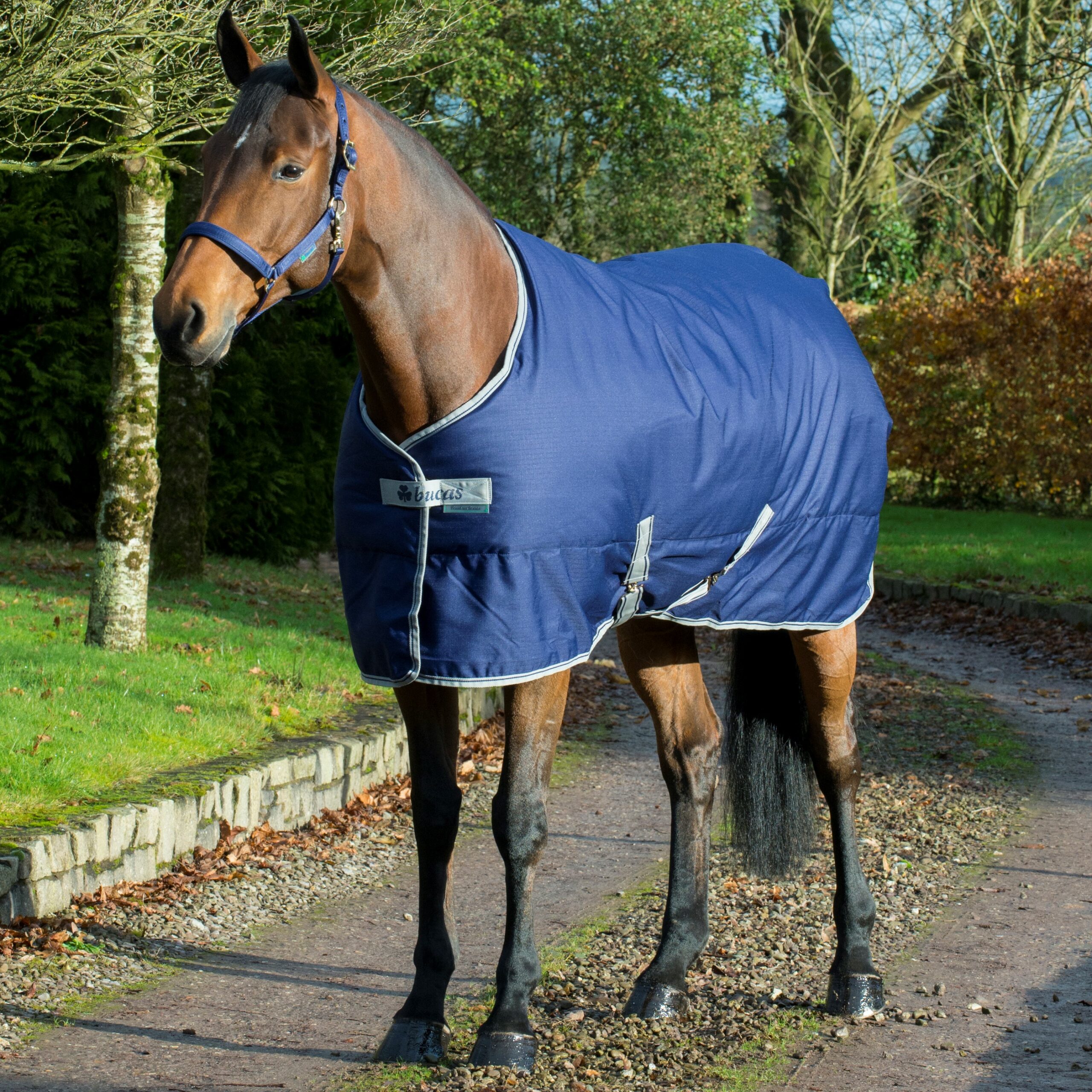 Bucas Freedom Stable Talliloimi 150g - Sininen, 135 - 2