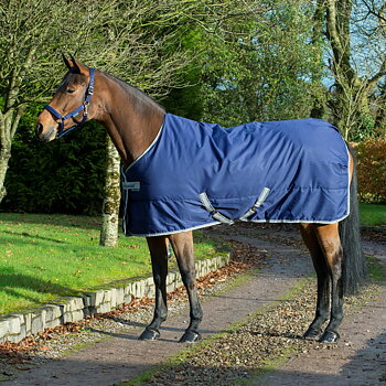 Bucas Freedom Stable Talliloimi 150g - Sininen, 135