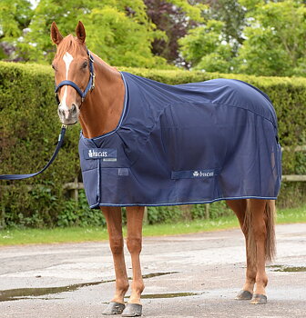 Kuivatusloimi Bucas Competition Cooler – Navy, 155