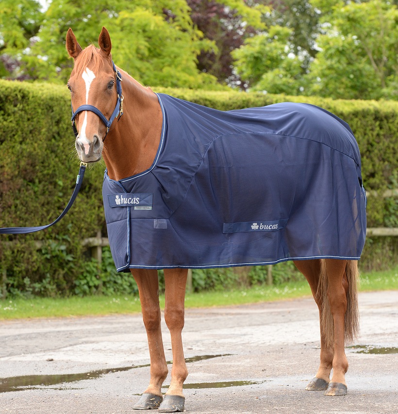 Kuivatusloimi Bucas Competition Cooler – Navy, 140