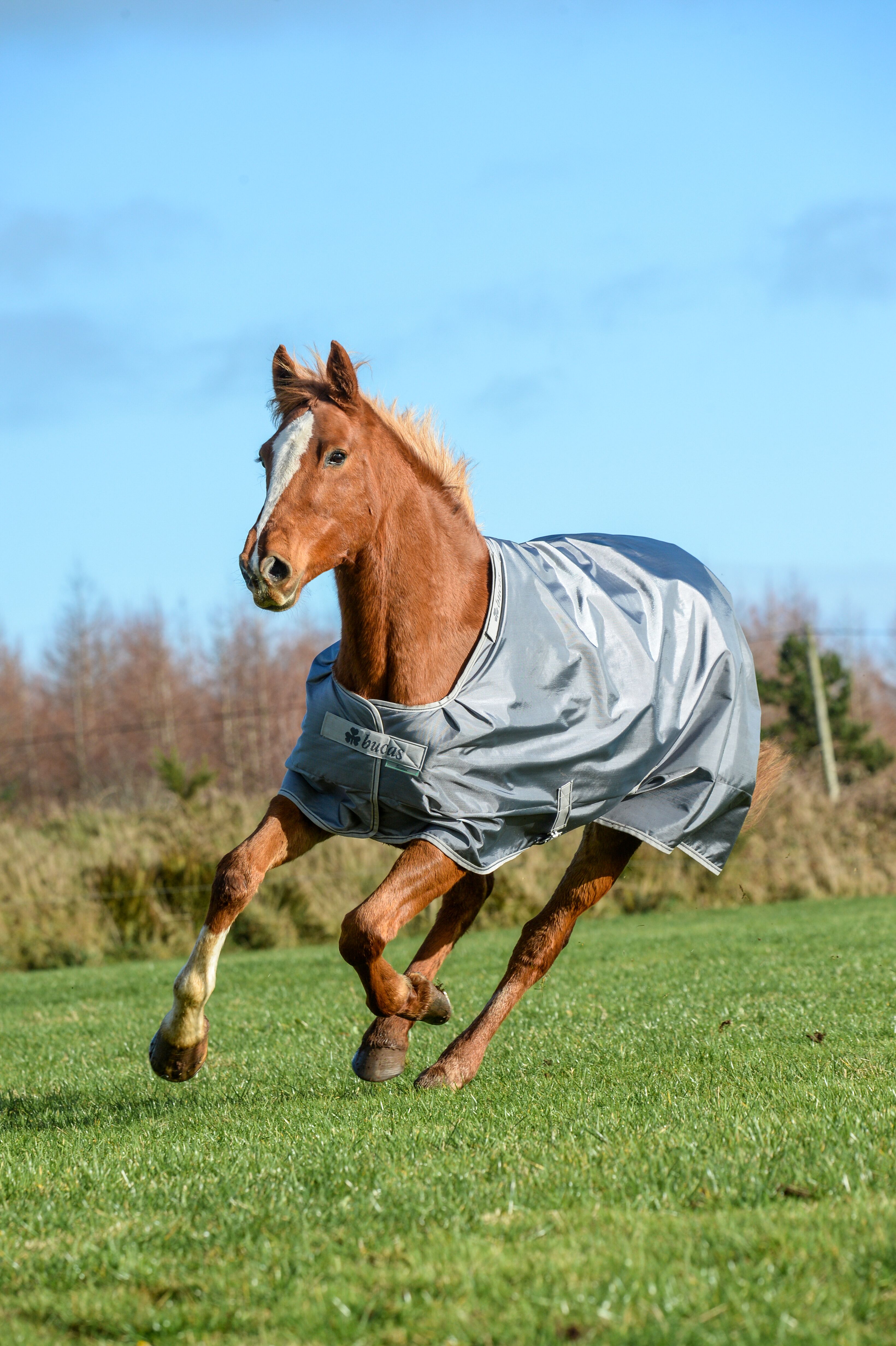 Bucas Smartex Turnout Rain Rug 0 g -Iron Gate, 155 - 5