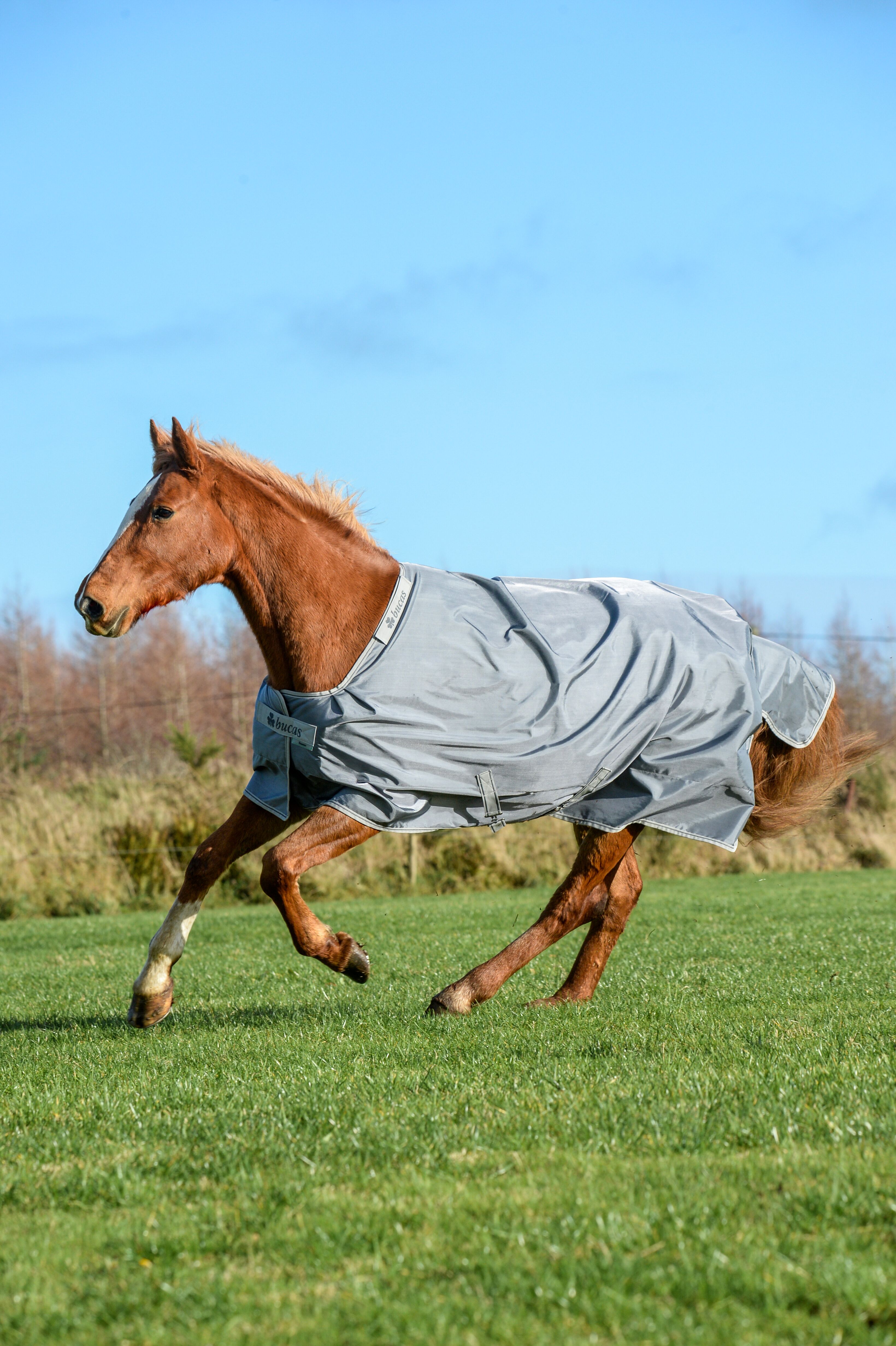 Bucas Smartex Turnout Rain Rug 0 g -Iron Gate, 155 - 6