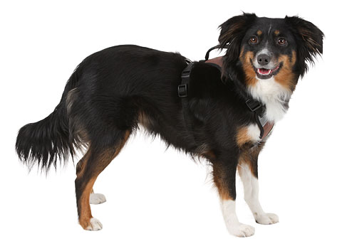 Kerbl Mesh Harness Pulsive - 3
