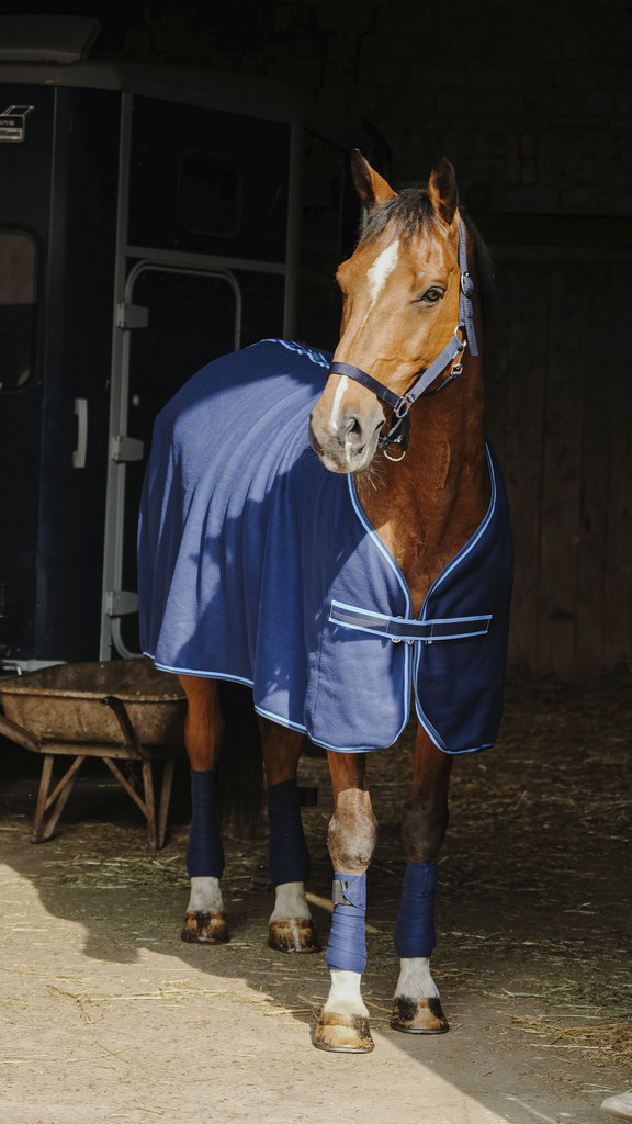 RIDING WORLD Full Set Navy - 7