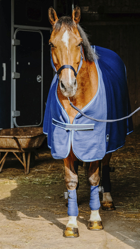 RIDING WORLD Full Set Navy - 6