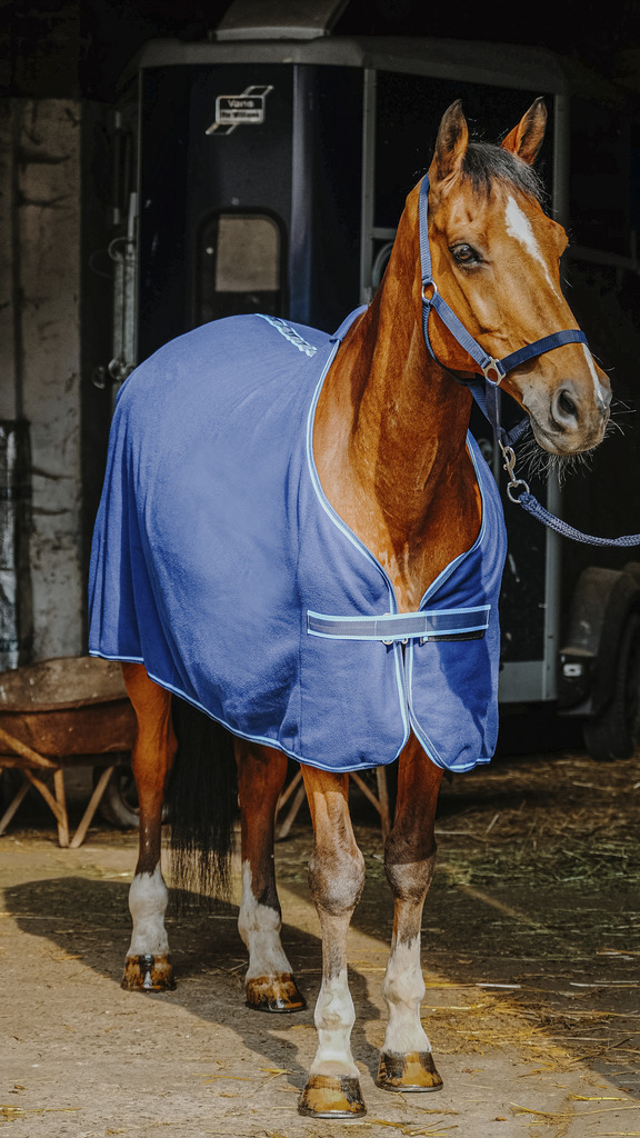 RIDING WORLD Full Set Navy - 3