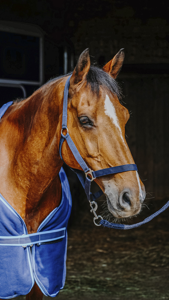RIDING WORLD Full Set Navy - 5