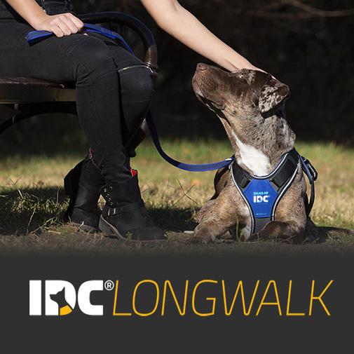 Julius-K9 IDC Longwalk Koiran Valjaat - Neon/Harmaa, XL-Long - vain tämä kappale - 3