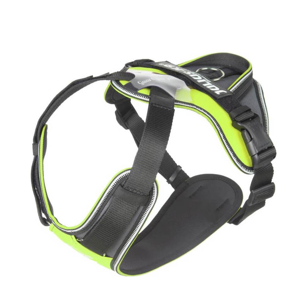 Julius-K9 IDC Longwalk Koiran Valjaat - Neon/Harmaa, XL-Long - vain tämä kappale