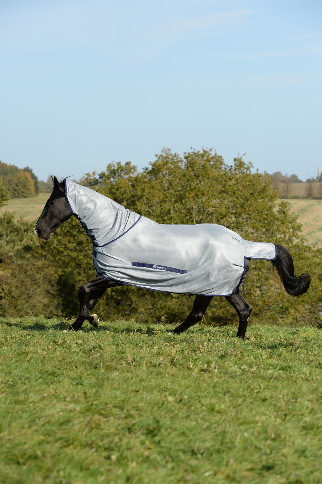 Bucas Buzz-Off Full Neck Fly Sheet Silver/Blue, 115 - 2
