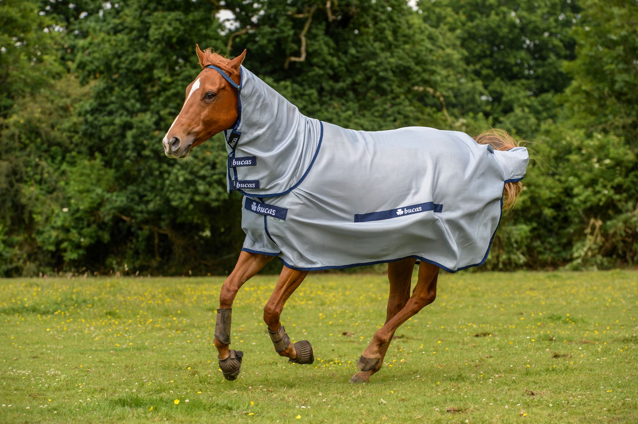 Bucas Buzz-Off Full Neck Fly Sheet Silver/Blue, 115 - 3