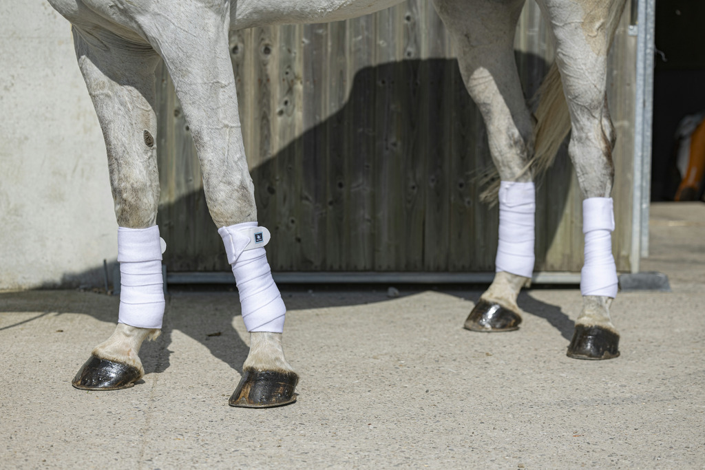 RIDING WORLD 'Eco' Polo Pintelit Valkoinen - Full size - 2