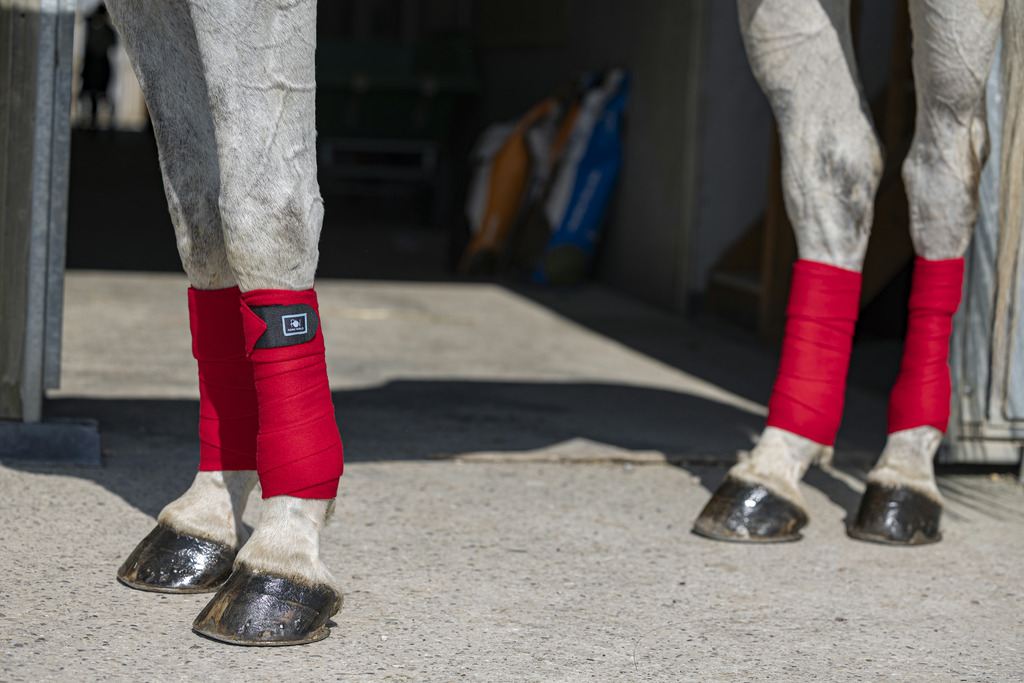 RIDING WORLD 'Eco' Polo Pintelit Punainen - Full size - 2