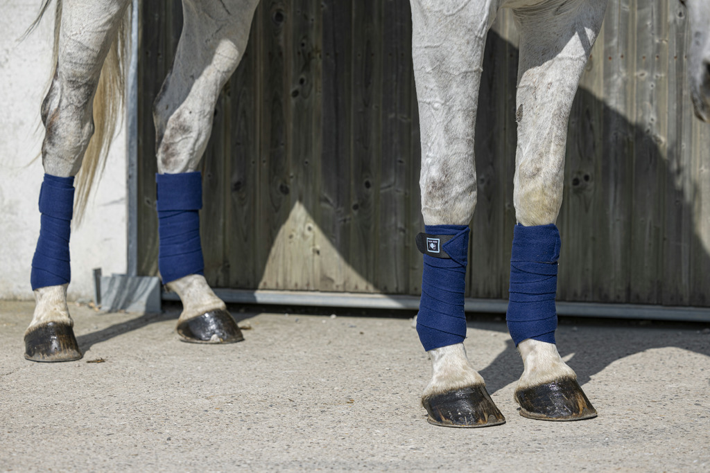 RIDING WORLD 'Eco' Polo Bandages Navy - Full size - 2